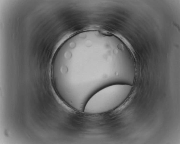X0000097880957200803140939