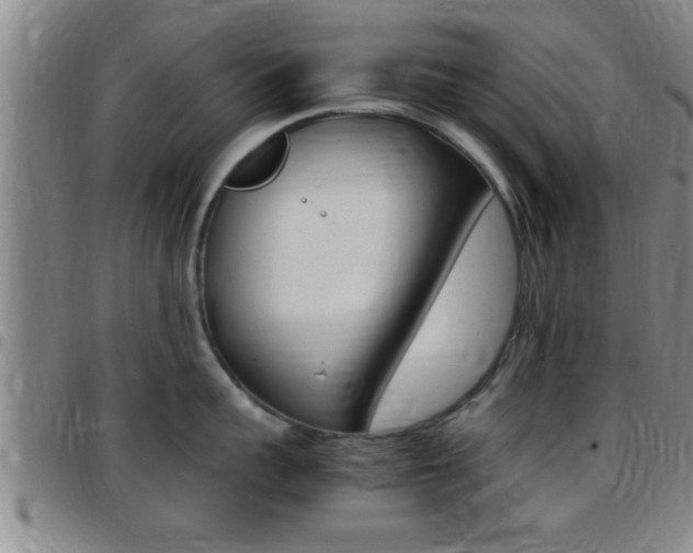 X0000097880959200803140939