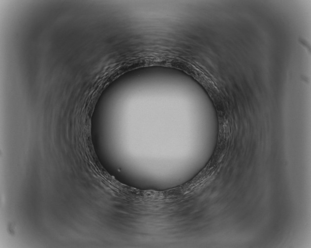 X0000097880961200803140939