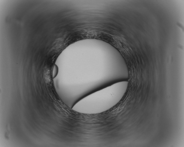 X0000097880962200803140939