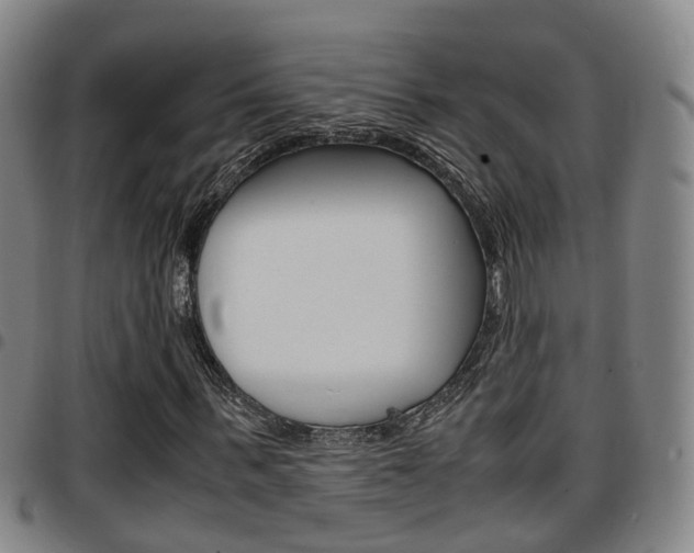 X0000097880963200803140939