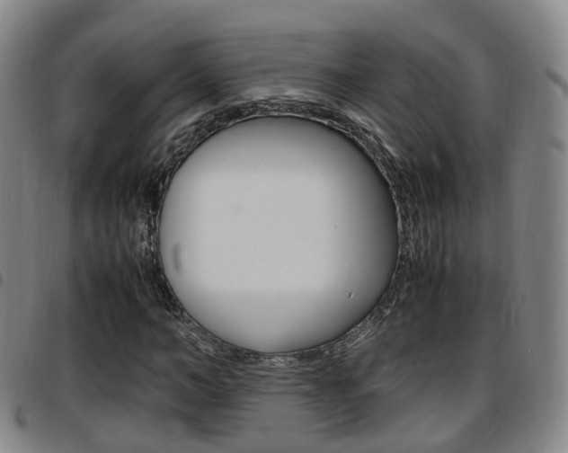 X0000097880966200803140938