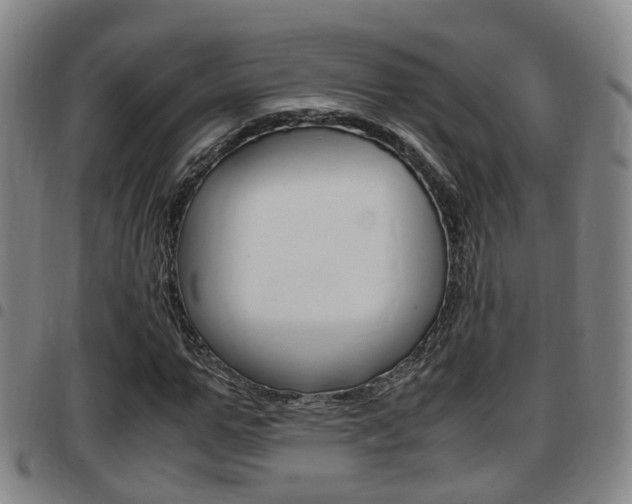 X0000097880967200803140938