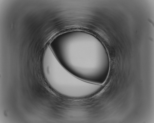 X0000097880969200803140938