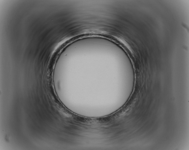 X0000097880971200803140938