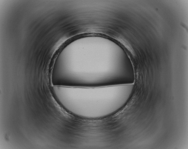X0000097880972200803140938