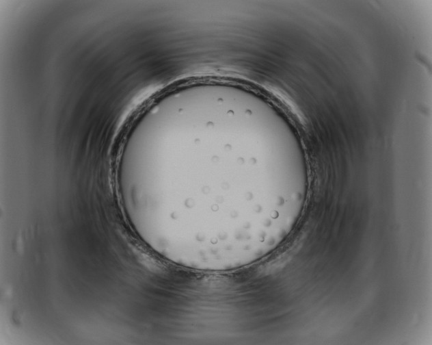 X0000097880974200803140938