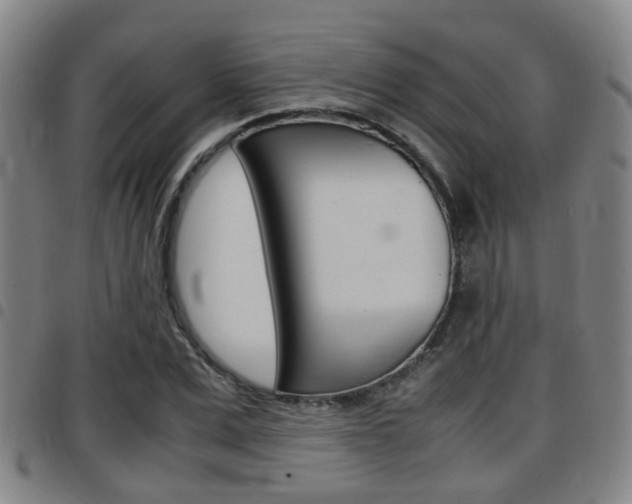 X0000097880975200803140938