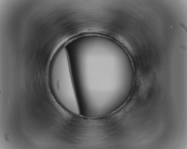 X0000097880976200803140938