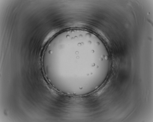 X0000097880978200803140938
