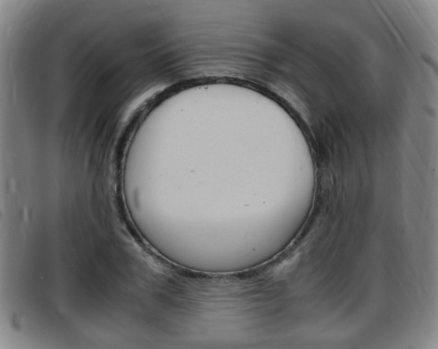 X0000097880979200803140938