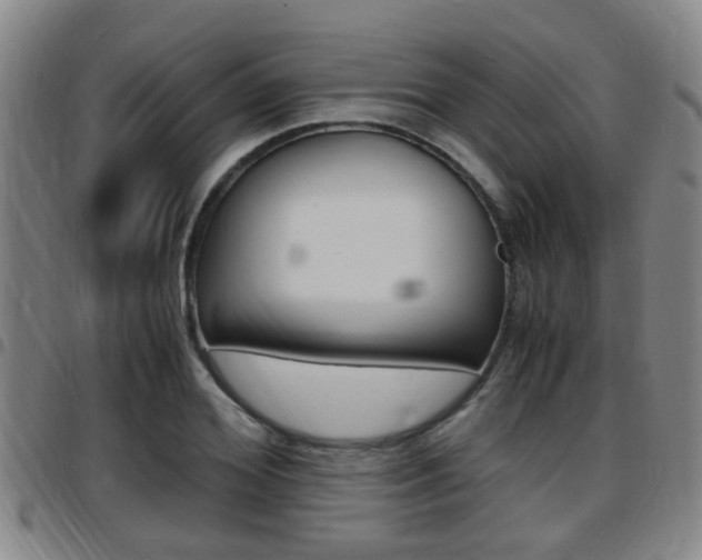 X0000097880980200803140938