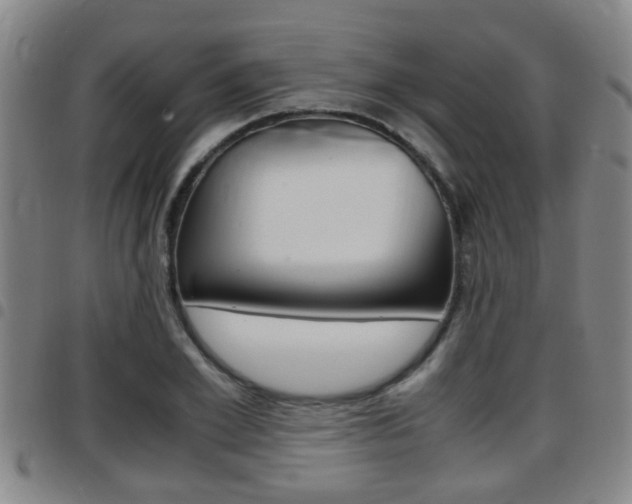 X0000097880981200803140938