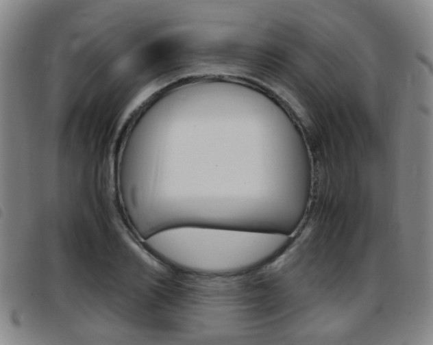 X0000097880982200803140938