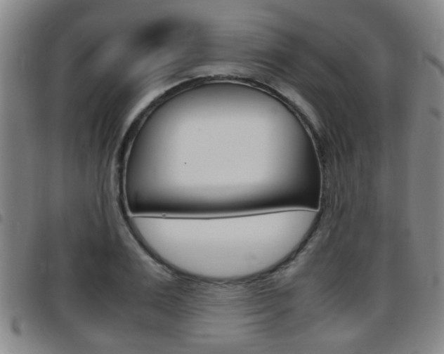 X0000097880983200803140938