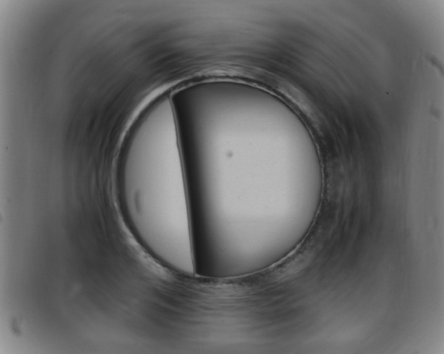 X0000097880984200803140938