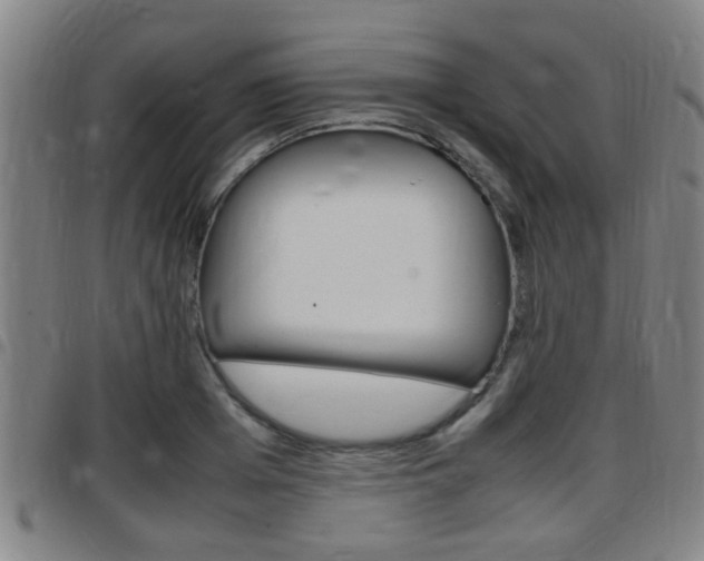 X0000097880985200803140938