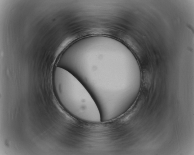 X0000097880986200803140938