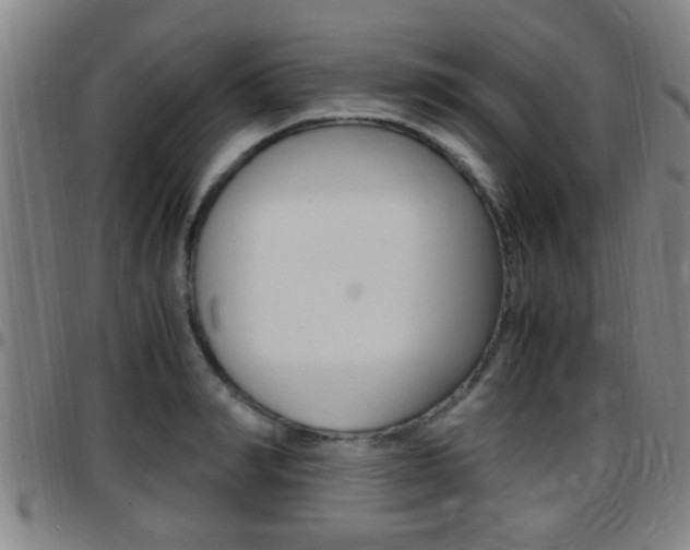 X0000097880990200803140938