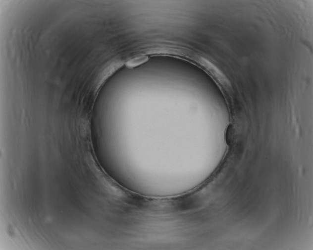 X0000097880993200803140938