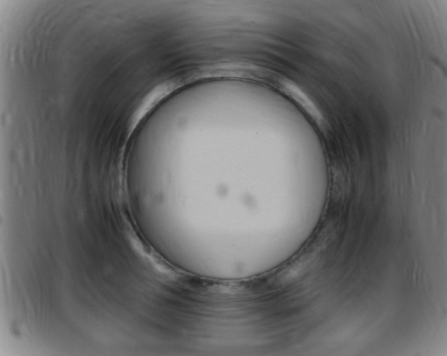 X0000097880994200803140938