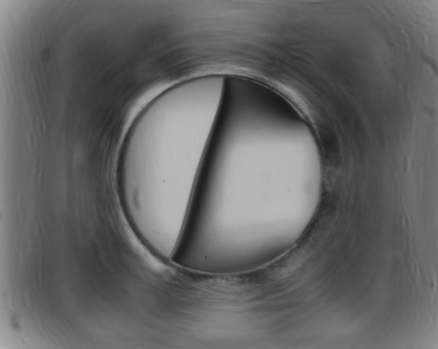 X0000097880995200803140938