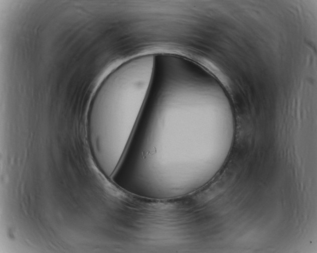 X0000097880996200803140938