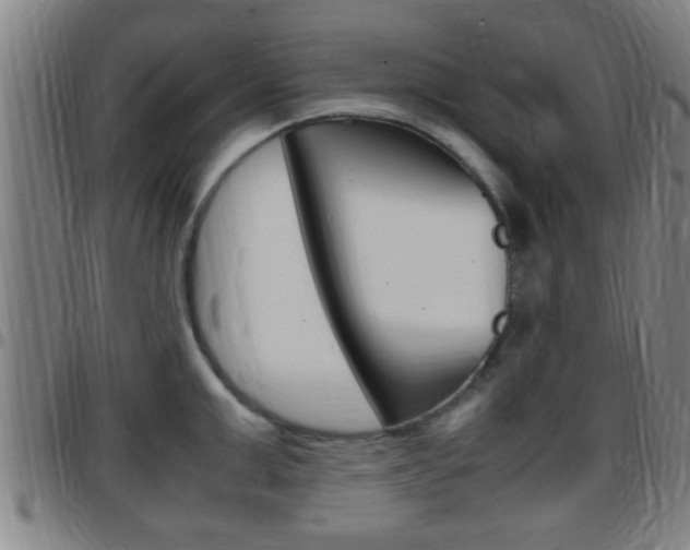 X0000097880999200803140938