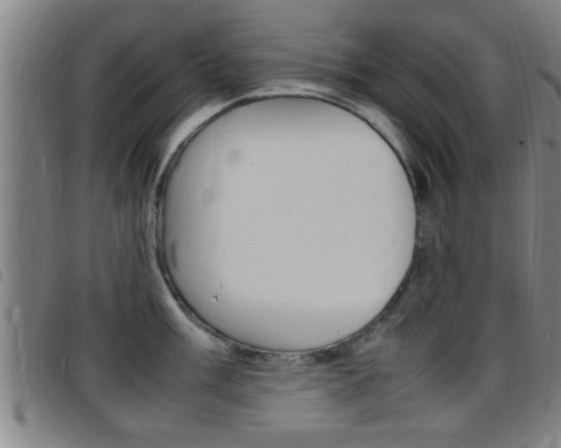 X0000097881003200803140938