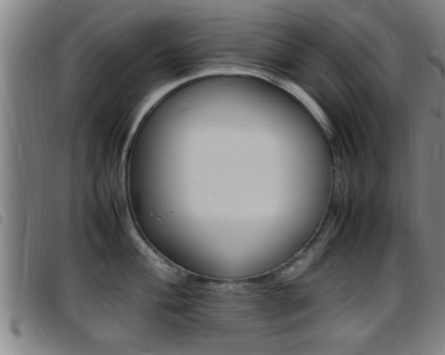 X0000097881004200803140938