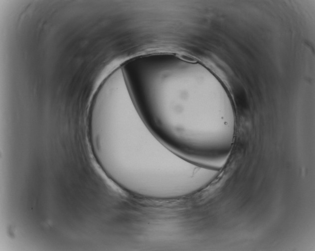 X0000097881005200803140938