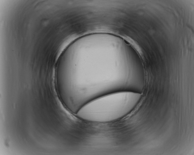 X0000097881006200803140938