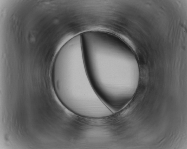 X0000097881007200803140938