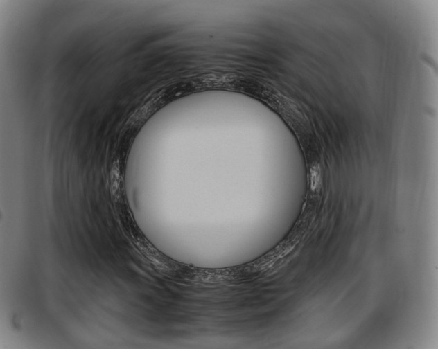 X0000097881011200803140937