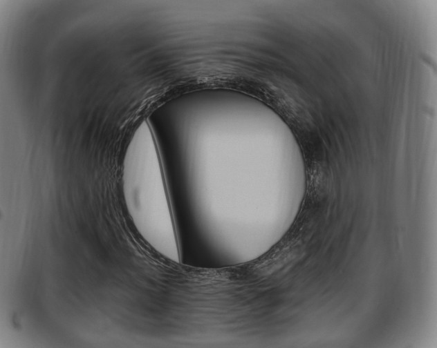 X0000097881012200803140937