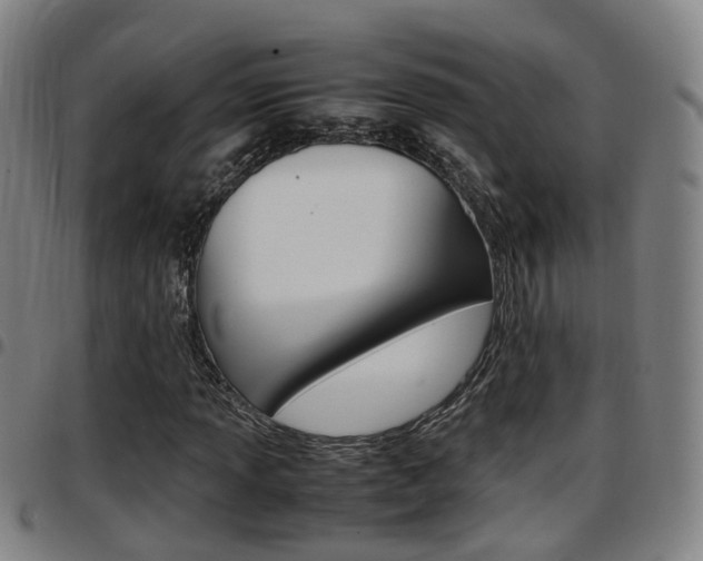 X0000097881013200803140937