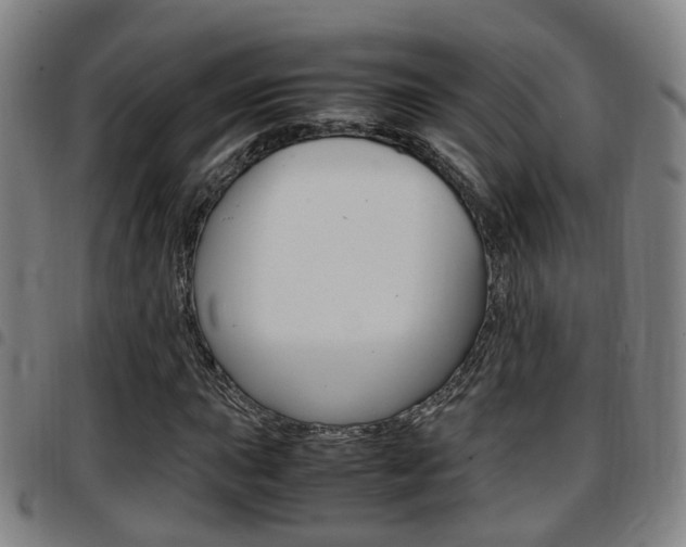 X0000097881015200803140937