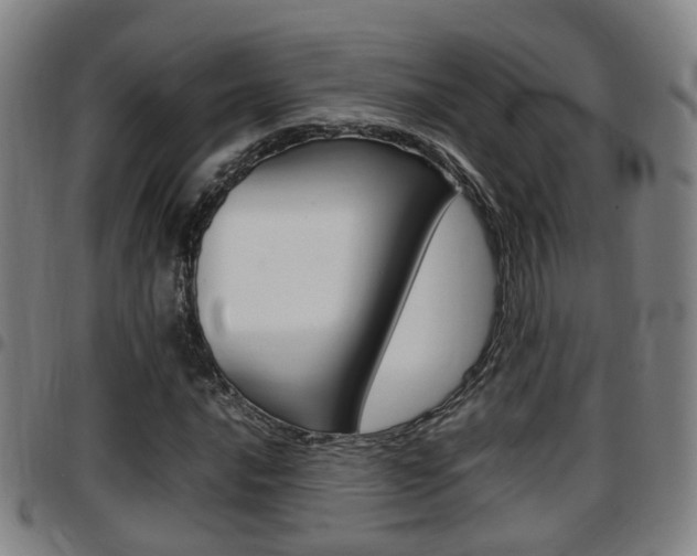 X0000097881016200803140937