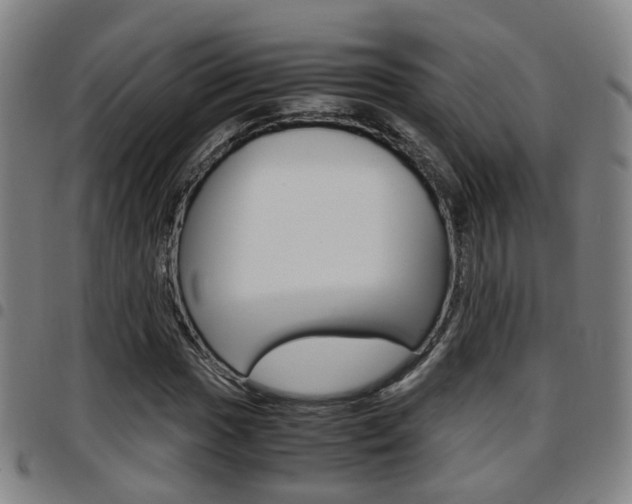 X0000097881017200803140937