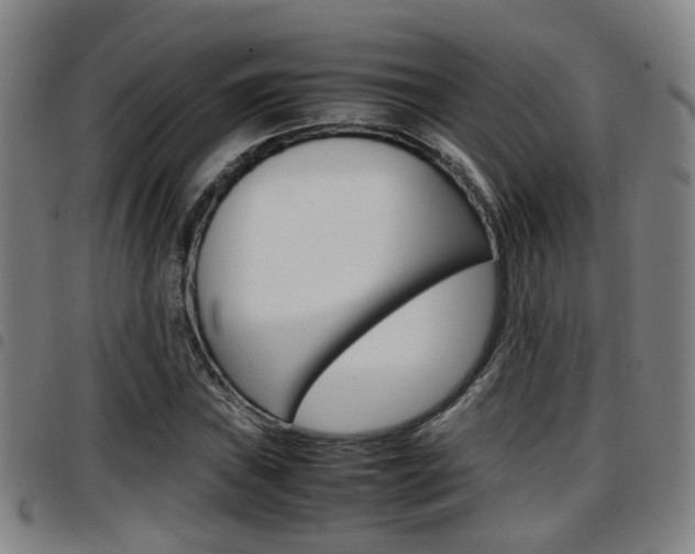 X0000097881019200803140937