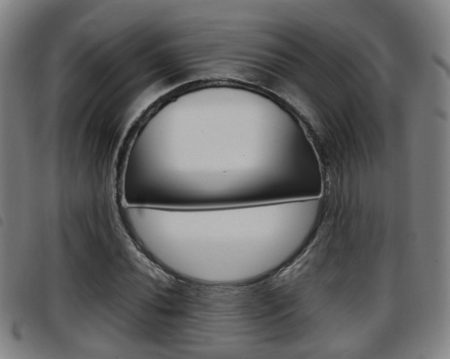 X0000097881020200803140937