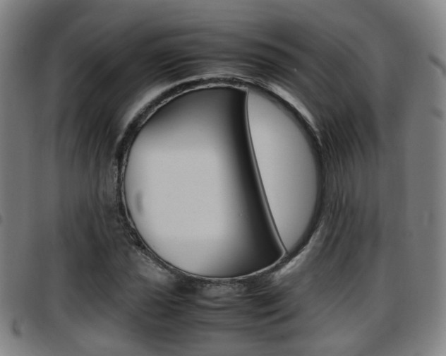 X0000097881021200803140937