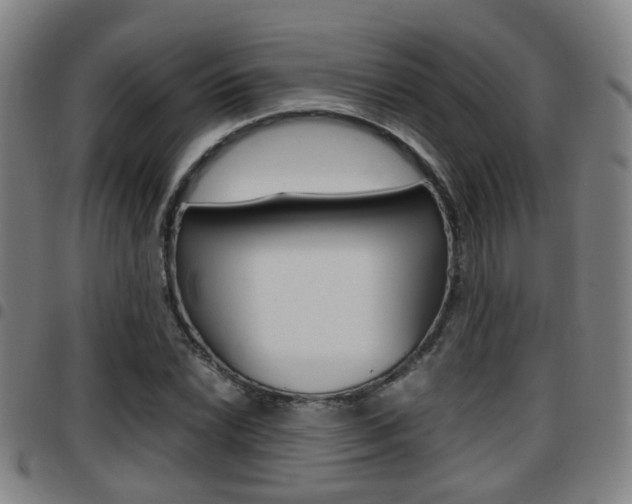 X0000097881022200803140937