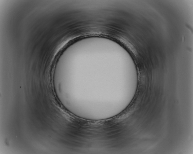 X0000097881023200803140937