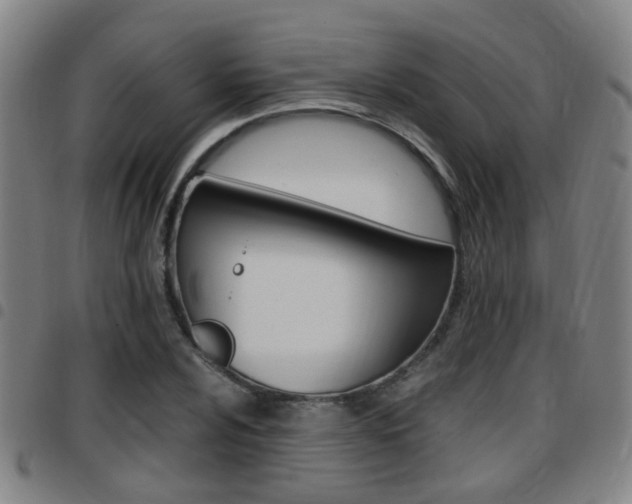 X0000097881024200803140937