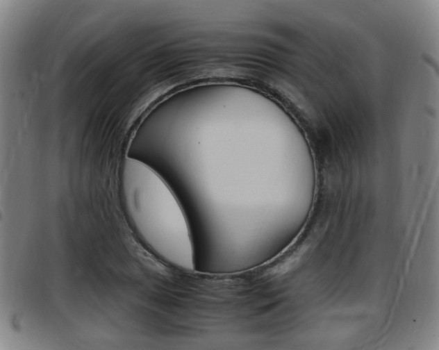 X0000097881025200803140937