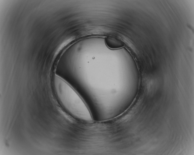 X0000097881026200803140937