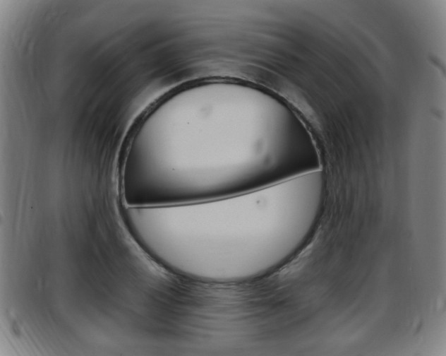 X0000097881028200803140937