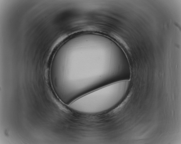 X0000097881029200803140937