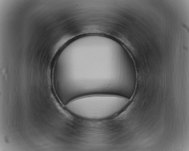 X0000097881030200803140937